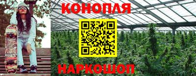 индика Бузулук