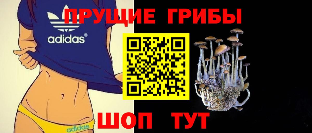 Хабаровск  Галлюциногенные грибы GOLDEN TEACHER  Вход с VPN 